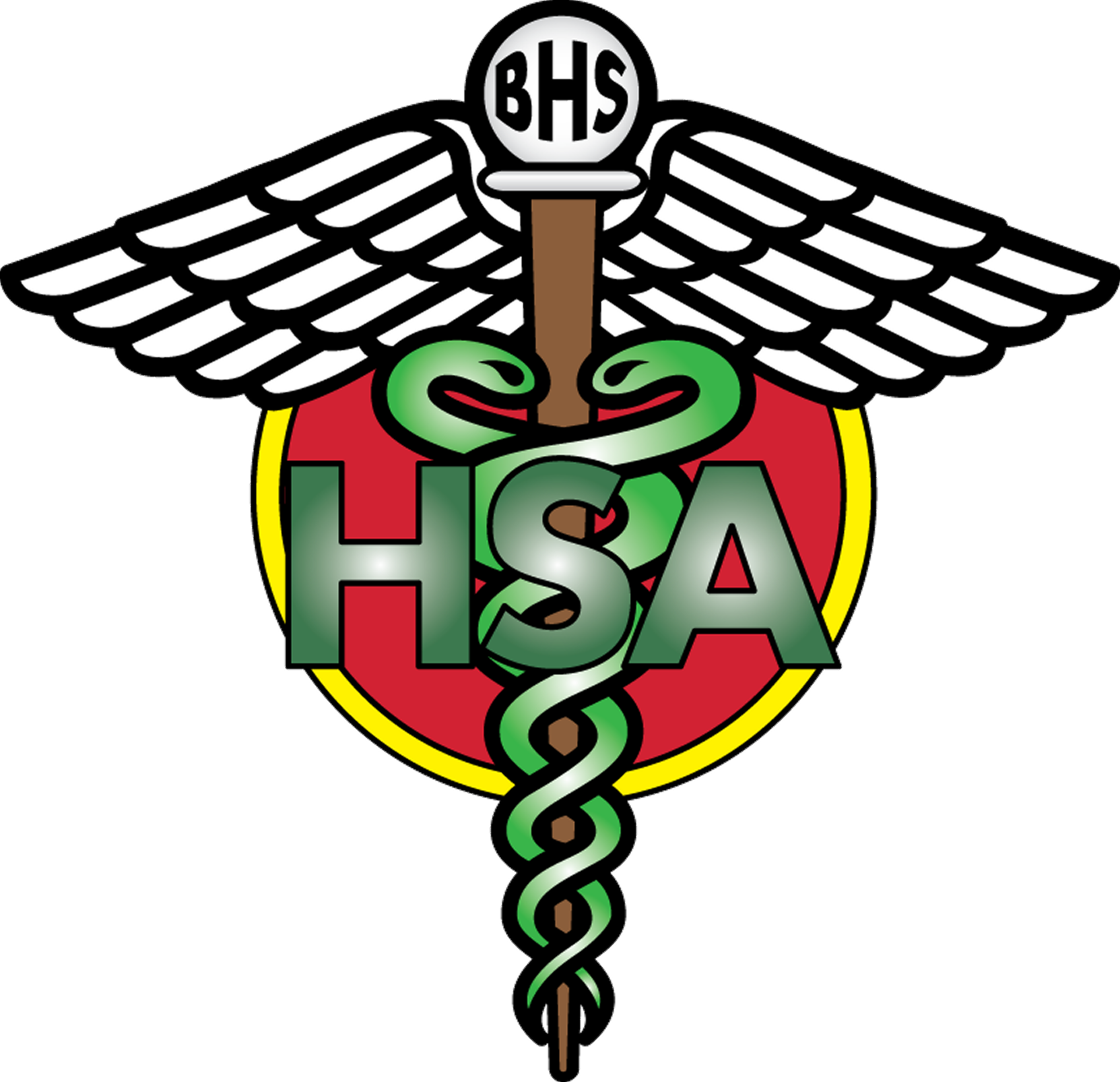 Bayside HSA logo 